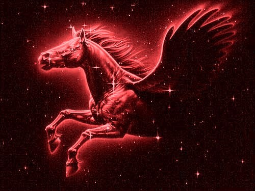 RedPegasusPress's profile picture. Got lots to say and no time to say it? Ask me how I can help.