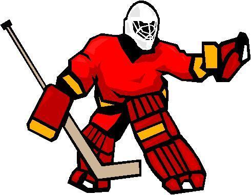 Software engineer, gamer, ice hockey goalie, reader, editor and now: author!