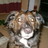 tyddynbryn's profile image