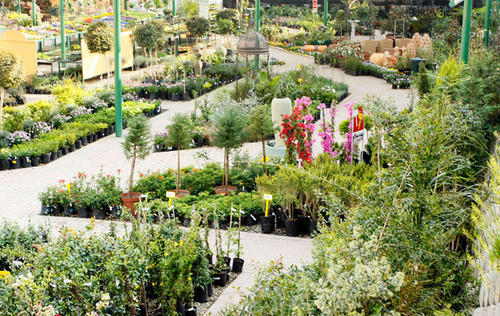 GardenPavilion4's profile picture. We’re a community garden center in the centre of Fourways stocking a complete range of plants and garden related products + green market and recycling center.