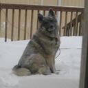 pat swartz (surgey) - @grandmapatty11 - Twitter