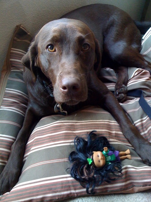 maagaret's profile picture. 