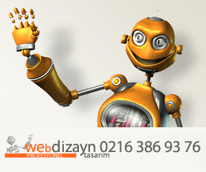 Web Site Tasarim Dizayn Hizmetleri