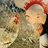 Braytimer's profile image