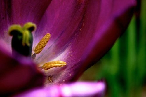 GrantsLady's profile picture. Helping people understand the complicated world of grants and program management.