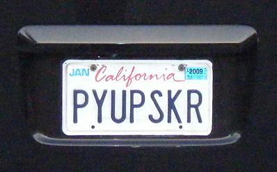 PayUpSucker's profile picture. 