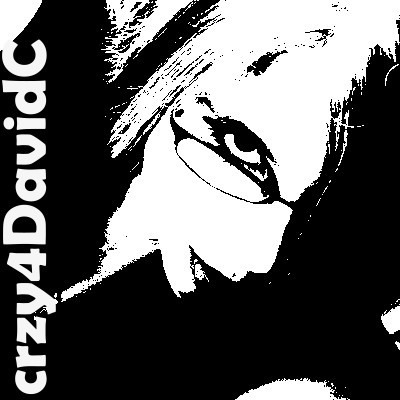 I'm crazy for David Cook, but also love my Creatures & Theatre. Is that enough?