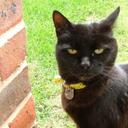 Doug Webber - @oap75 - Twitter