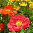 Amber Thacker - @Art2001 - Twitter