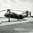 mne354's profile image