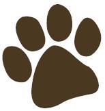 Making a difference one dog at a time