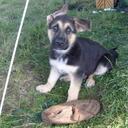 alf taylor - @bigalft - Twitter