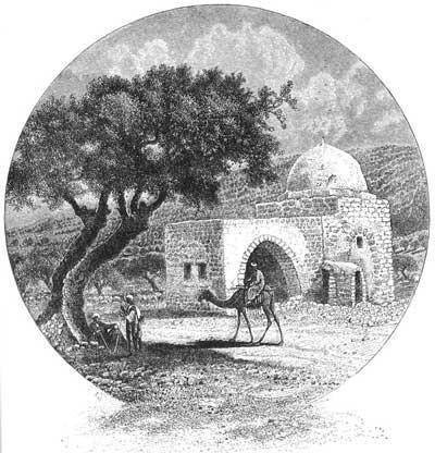 Avi Beit - Halachmi