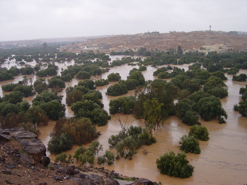 benwalid's profile picture. Dr.-Ing. Najeeb Abdulmutalib Informatics Libya,Germany Love, Peace and Friendship