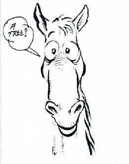 leswurse's profile picture. We  own Ansur & Northwestern Saddlery, making totally flexible, pain free Western & English saddles.