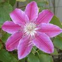 Alan Bloom - @Nala6b - Twitter