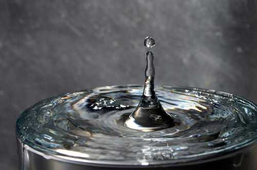 lwalsh65's profile picture. Currently a twitter noob.