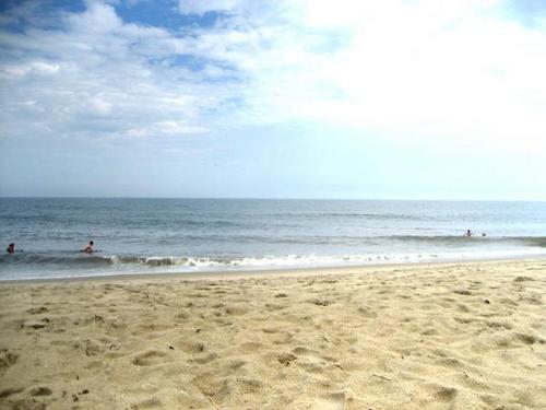 pjapples's profile picture. 