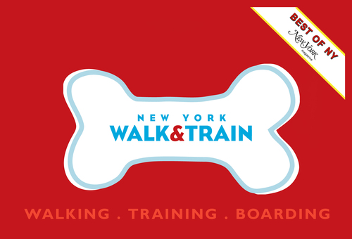 NY Walk&Train is NYC's BEST dog services provider. Offering individual dog walks, reward based training, and boarding