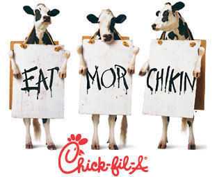 it is Our Pleasure to serve you
