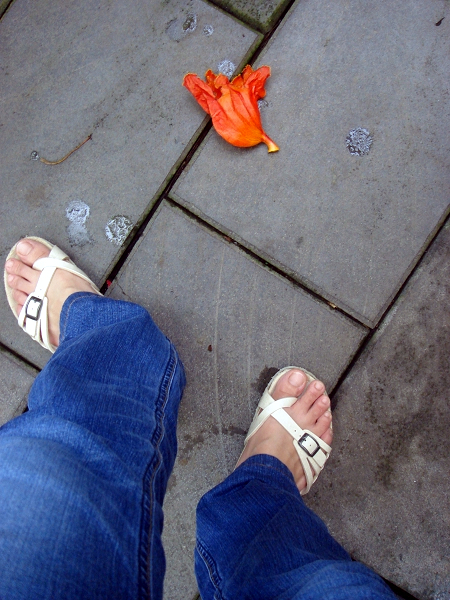 melissa_la's profile picture. 