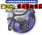 Asociacion Protectora de animales de Piedras Negras Coahuila, México.