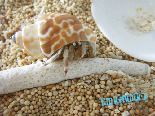 yadokarialex's profile picture. 2009.8.27 こんな日々もあったんだなぁ