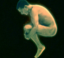 Phobidilia's profile picture. coming to Toronto international film fest 2009