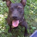 Michelle Sines - @Charmed973 - Twitter