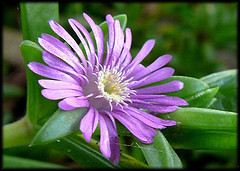 andrealawsond's profile picture. water