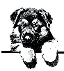 thepetwork's profile picture. A network of resources and information for pet lovers.