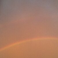 u (@vege_u) 's Twitter Profile