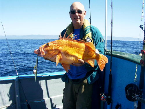 Please follow me @AnythingFishing. This site inactive.