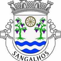 SangalhosVilaMundial (@sangalhos) 's Twitter Profile