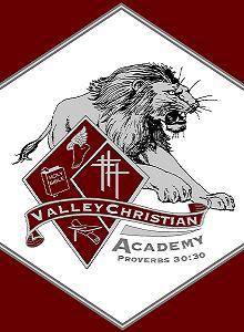 VCA Lions Profile