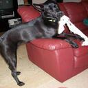 Kara Weaver - @weaverkl - Twitter