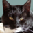 PrimaryEntity's profile image