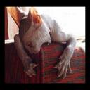 Denise Tuttle - @WarningPMS - Twitter