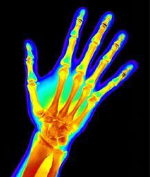 memophage's profile picture. 