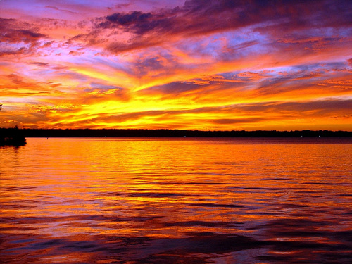 julieannteel's profile picture. conservative REMAX real estate broker, traveler, bridge player, all things lake, #realestate #corsicana #lakeareaexpert #RichlandChambersLake @julieannteel