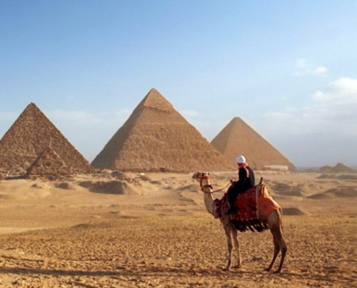 NeilKenny's profile picture. Will make television for cash.