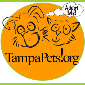 TampaPets's profile picture. Since 2004 TampaPets has been making sure homeless pets who need a second chance find forever homes. Don't miss Woofstock April 7, 2018!