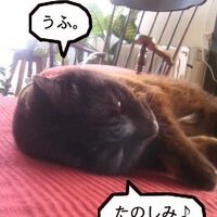 lunamama (@kuroneklunamama) 's Twitter Profile
