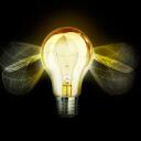 Bryan Lesniewski - @pollinotion - Twitter