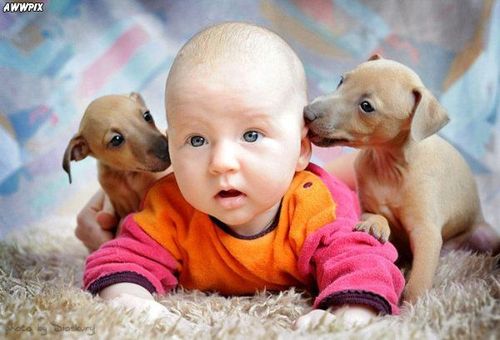 earth_4__energy's profile picture. Build your own solar panels, saving $10,000 off retail price !!