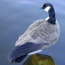 Frank Shen - @Frank_SY - Twitter