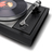 TheSoundGallery's profile image