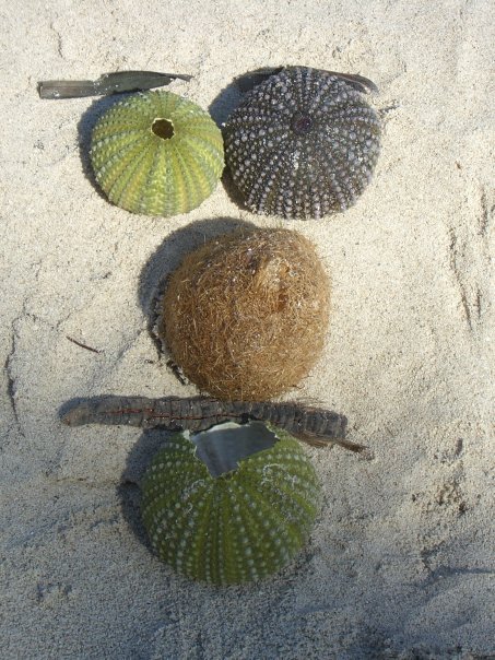 terrapin73's profile picture. 