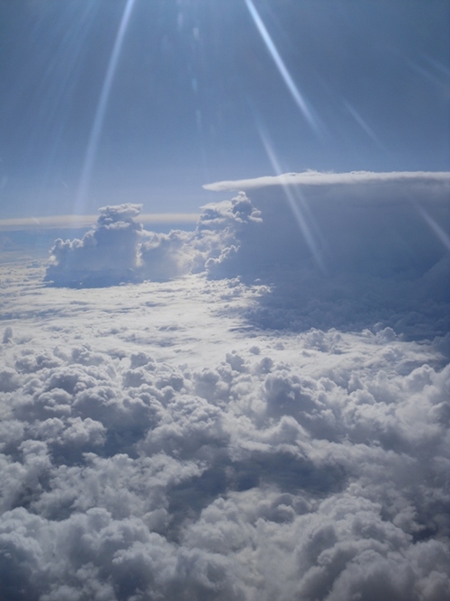 WeatherModule's profile picture. 