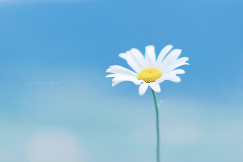 I write, I read, I shoot, I dream & I love blue

instagram: @ibluish